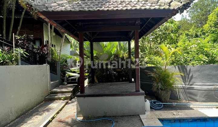 Wooden Villa For Rent 5 Bedroom Need Renovation Dawas Padonan Canggu 2