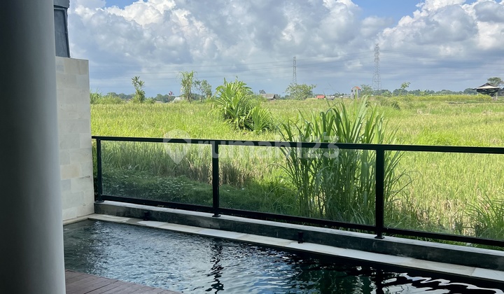 For Sale Newly Built Villa with Rice Field View in Cepaka Munggu