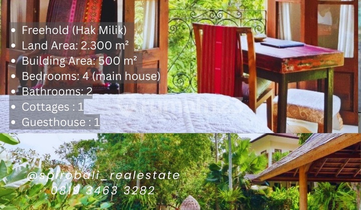 For Sale Quickly 6 BR Thematic Design Villa in Tumbak Bayuh For Sale Quickly 6 BR Thematic Design Villa in Tumbak Bayuh