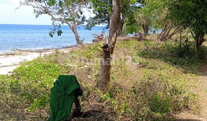Sale Beach Front Land At Pulau Moyo Sumbawa West Nusa Tenggara