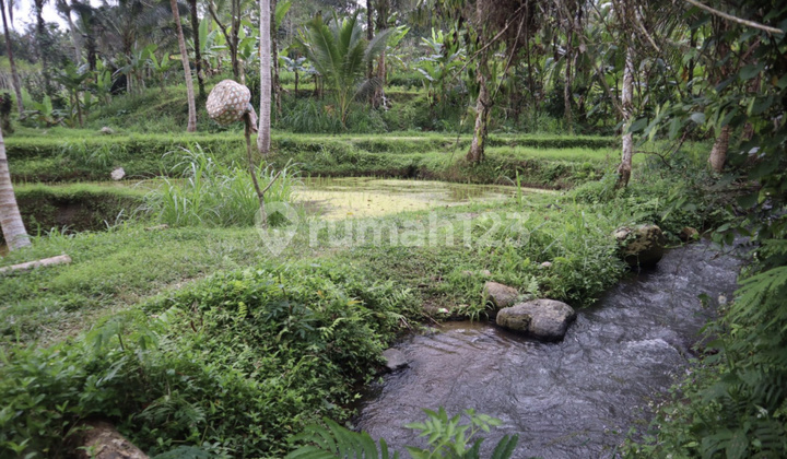 Freehold Riverside Land Apuan Tabananbali Freehold Riverside Land Apuan Tabananbali