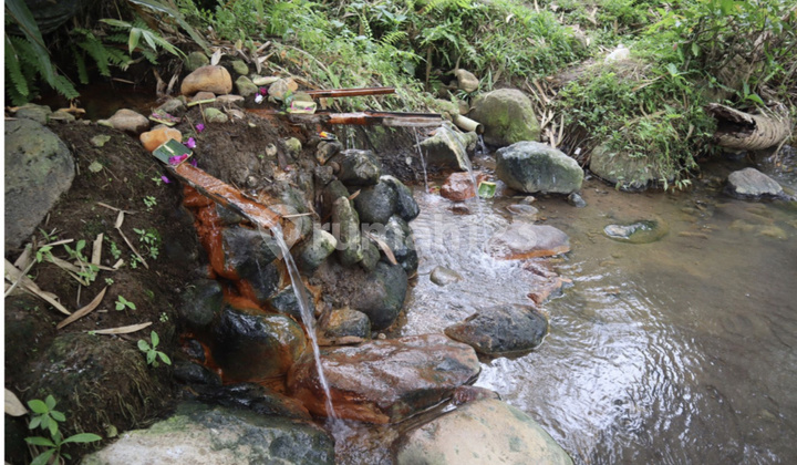 Freehold 50 Are Land At Tabanan Bonus Natural Hot Water Spring