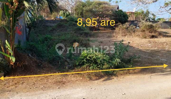 Dijual Tanah di Pandawa Kutuh Kuta Selatan 8 Are 