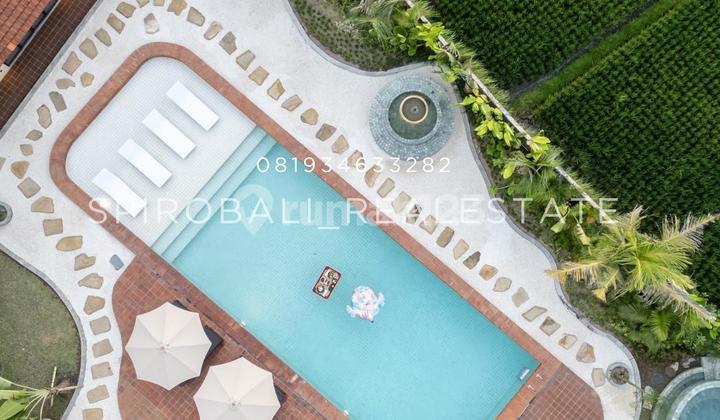 Sale Freehold Beautiful Huge Villa 5 Bedroom in Kedungu Bali Sale Freehold Beautiful Huge Villa 5 Bedroom in Kedungu Bali