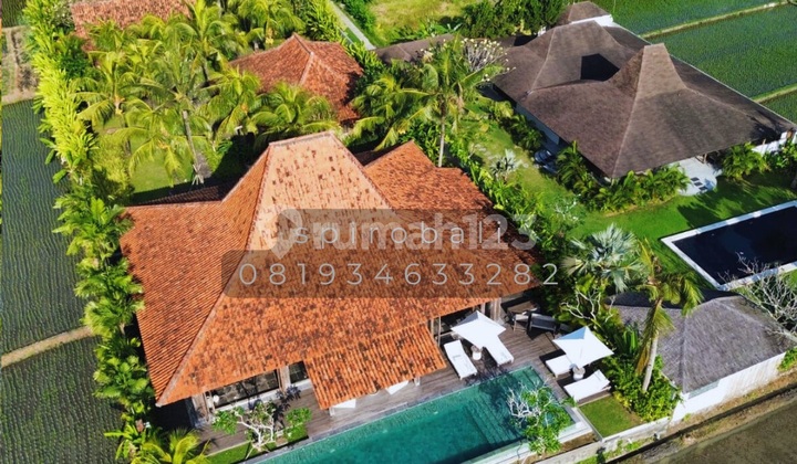 For Sale Villa Nyanyi Beach Ricefield View Land 19.6Are For Sale Villa Nyanyi Beach Ricefield View Land 19.6Are