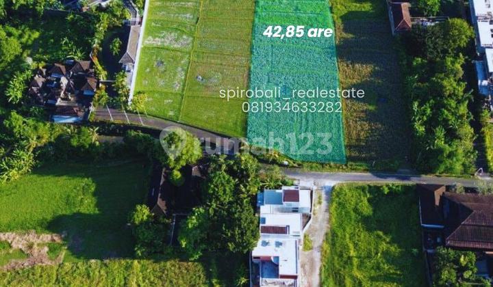 Leasehold Land 42 Are in Buwit Tabanan Near Nuanu Leasehold Land 42 Are in Buwit Tabanan Near Nuanu