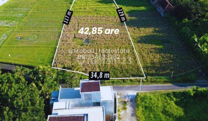 Under Market Price Leasehold 42.85 Are Land River Side In Buwit Tabanan 1