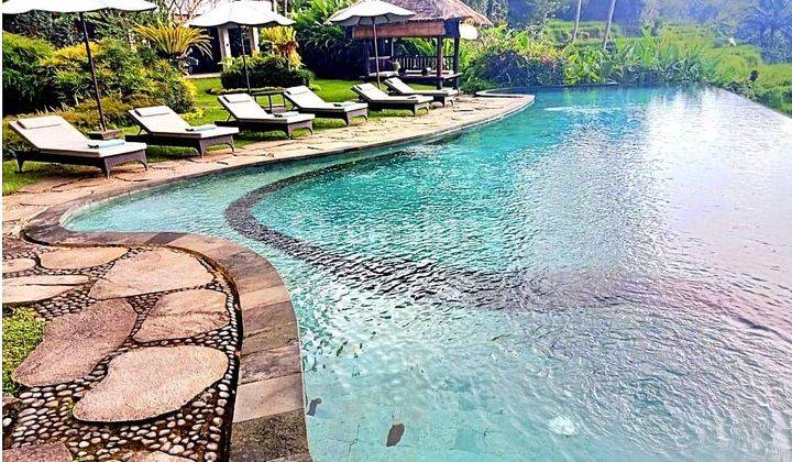 For Sale Commercil Villa In Payangan Ubud Jungle View 1