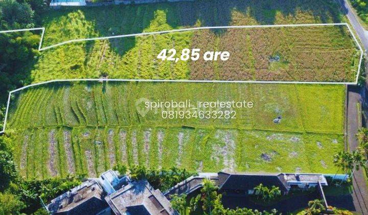 Under Market Price Leasehold 42.85 Are Land River Side In Buwit Tabanan 2