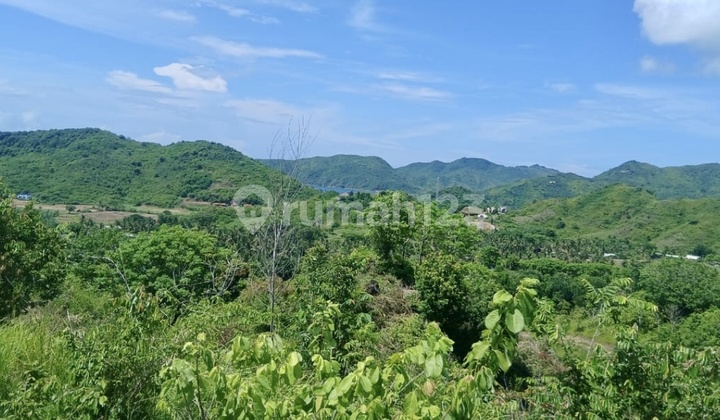 For Sale Stunning Hill Land Ocean View At Tumpak Lombok Tengah For Sale Stunning Hill Land Ocean View At Tumpak Lombok Tengah
