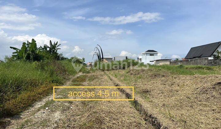 For Leasehold Land Close To Beach Cemagi For Leasehold Land Close To Beach Cemagi