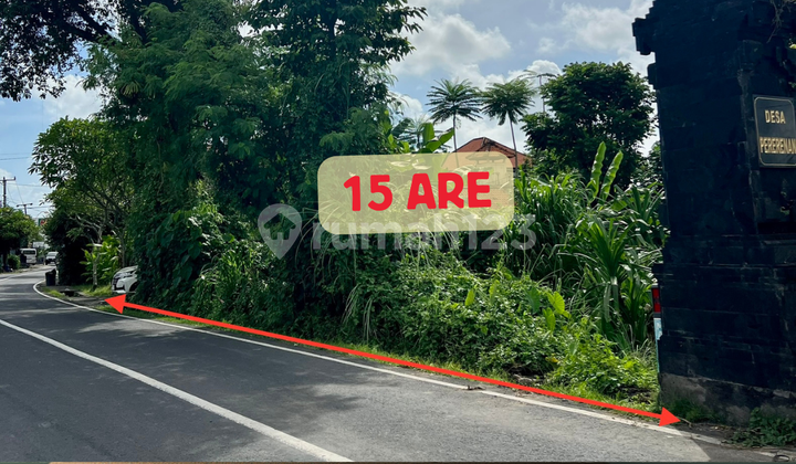 Premium Land For Sale On Main Road Pererenan Bali Premium Land For Sale On Main Road Pererenan Bali