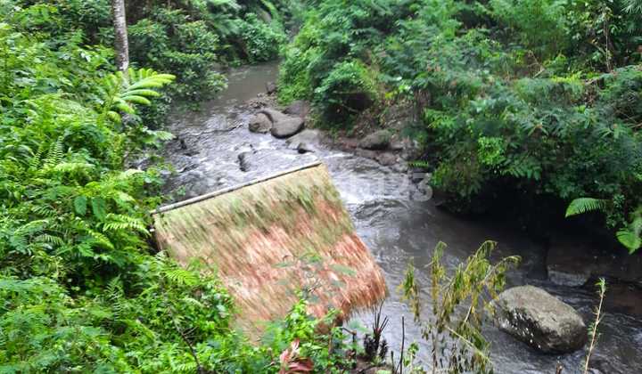 Dijual Cepat Tanah Hak Milik 3 Hektar Los Sungai Ayung Payangan Ubud