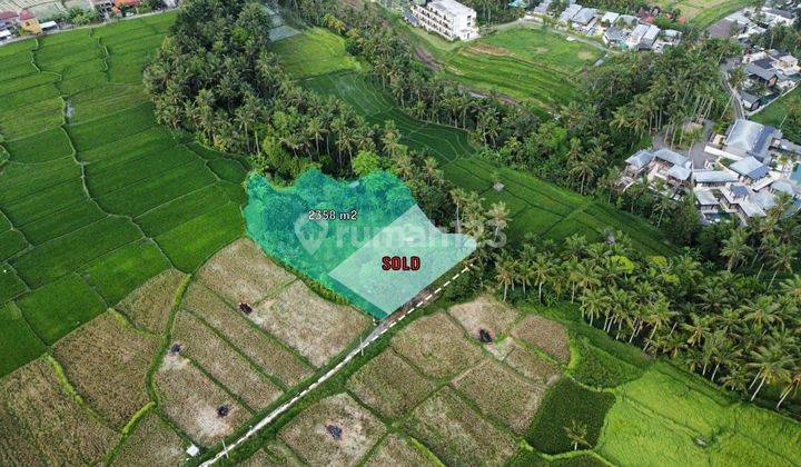 Jual Tanah di Ubud 23,58 Are View Sawah Dan Sungai 2