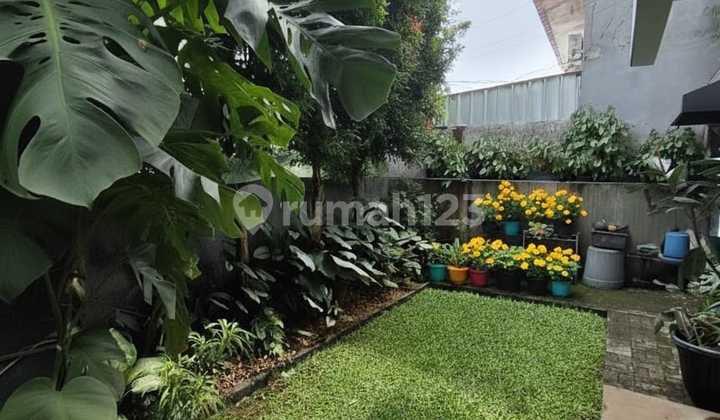 Rumah Strategis Dg Halaman Belakang Luas di Bintaro Jaksel 17374 2
