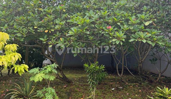 Tanah Dekat Boulevard Rs Pondok Indah Bintaro Tangsel Wt-17543 Tanah Dekat Boulevard Rs Pondok Indah Bintaro Tangsel Wt-17543