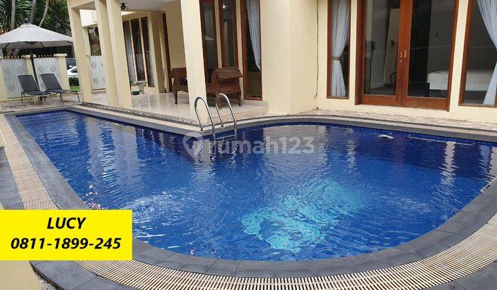 Rumah Tropis Exclusive Ada Swim Pool di Kemang 14736 08111899245 1