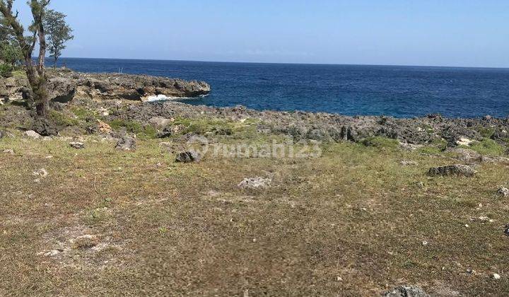 Tanah Los Pantai dengan view laut menakjubkan di Kodi Utara,Sumba Barat 1