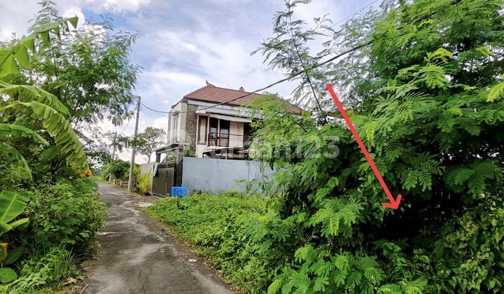 Tanah View Sawah Dan Gunung