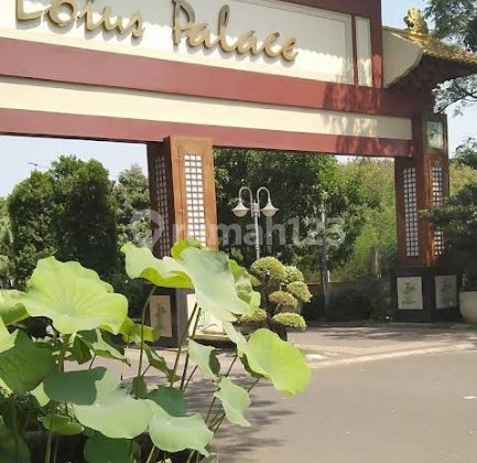 Lotus Cluster PIK Very Exclusive Best Deal Plot Lotus Cluster PIK Very Exclusive Best Deal Plot