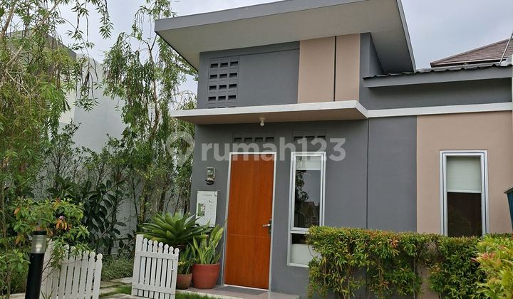 Rumah 1 Lantai Area Tenjo Dekat St Tigaraksa