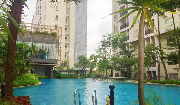 Apartment Gading Serpong Scientia Residences Type Studio 2