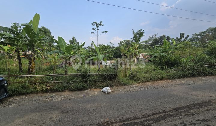 Tanah Murah Pemalang Pinggir Jalan Cocok Untuk Ruko Peruhamahan Invest Lainnya