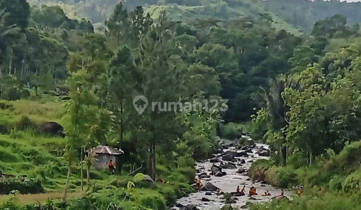 Tanah Bagus Langka View Sungai Pegunungan Bumijawa Tegal Jawa Tengah
 2