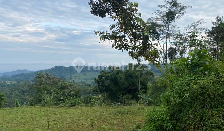 Tanah Murah Utk Rumah Impian atau Villa dan Cafe Kekinian Tanah Murah Utk Rumah Impian atau Villa dan Cafe Kekinian