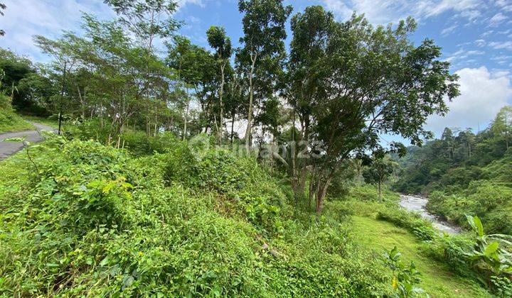 Tanah Bagus Langka View Sungai Pegunungan Bumijawa Guci Tegal Jawa Tengah
 2