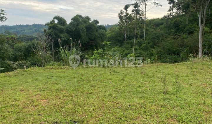 Cheap Land in Tourist Area with Views of Mountain Rice Fields & City Lights Cheap Land in Tourist Area with Views of Mountain Rice Fields & City Lights