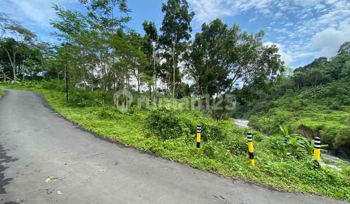 Tanah Murah Invest Rumah Impian Bisnis dan Wisata Tanah Murah Invest Rumah Impian Bisnis dan Wisata