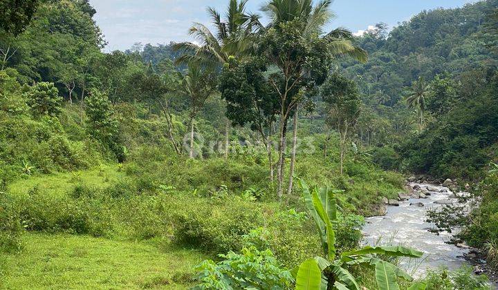 Tanah Bagus Langka View Sungai Pegunungan Bumijawa Guci Tegal Jawa Tengah
 1