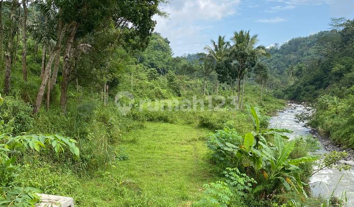 Tanah Murah Potensi Bisnis dan Wisata Alam Tanah Murah Potensi Bisnis dan Wisata Alam