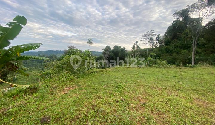 Champion View Mountain Land City Light Fields Champion View Mountain Land City Light Fields