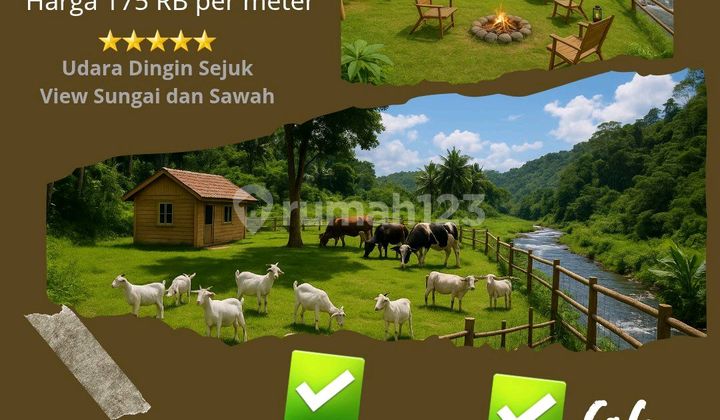 Affordable Land Investment Dream Home Business And Tourism 1