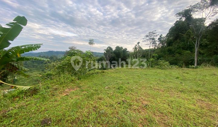 Tanah Murah 3.200 M2 Utk Rumah Villa Cafe Kebunfarm