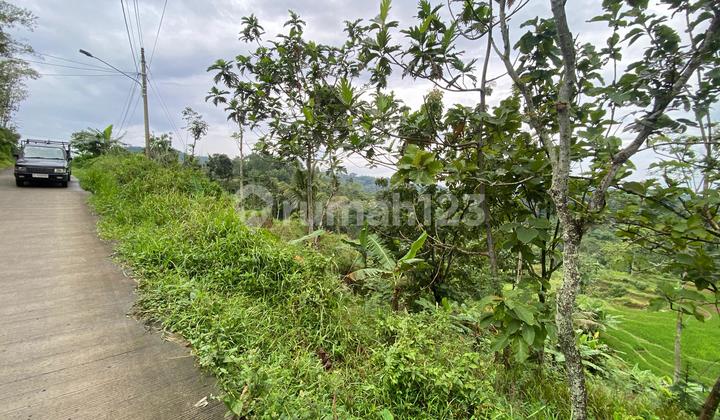 Tanah 1 Ha Bagus Murah Di Bumijawa Guci Tegal Dkt Slawi Kab Brebes Tanah 1 Ha Bagus Murah Di Bumijawa Guci Tegal Dkt Slawi Kab Brebes