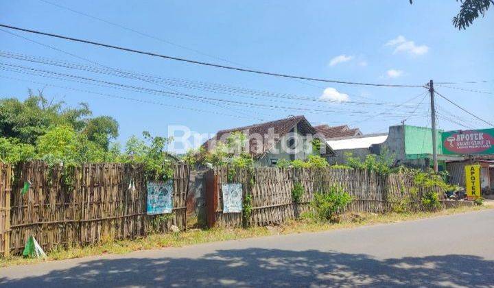 TANAH RAYA SUPROBO POROS UTAMA BANYUWANGI 1