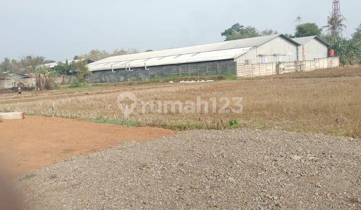 FOR SALE QUICK CHEAP LAND LOT PRIME HIGHWAY LOCATION IN TANGERANG IDEAL FOR WAREHOUSE