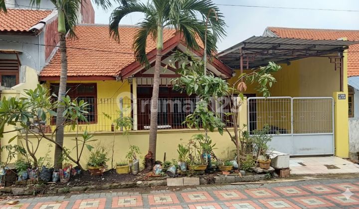 Disewakan Rumah Medokan Ayu Graha Ykp 2