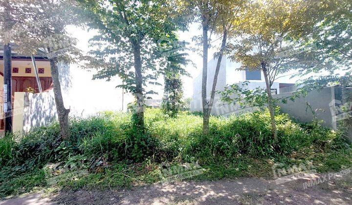 Dijual Murah Tanah Kavling Area Blimbing 1 Menit Dari Araya  1