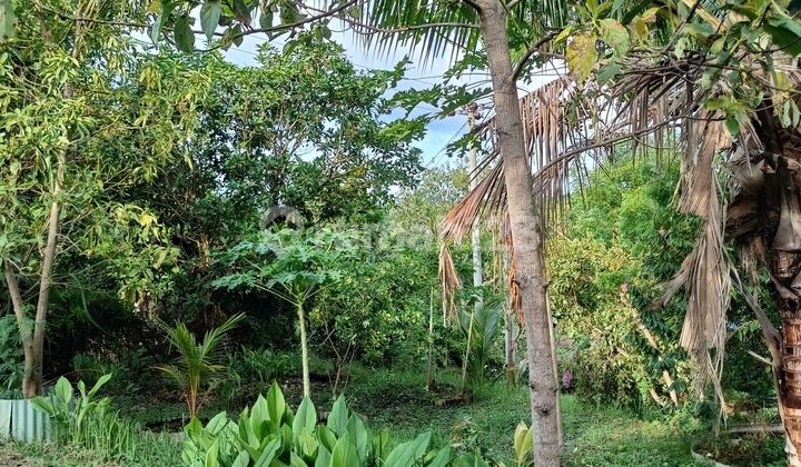 Land for Sale Location Anturan Land for Sale Location Anturan