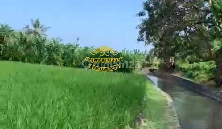 Tanah Jual Lokasi Darmasaba 1