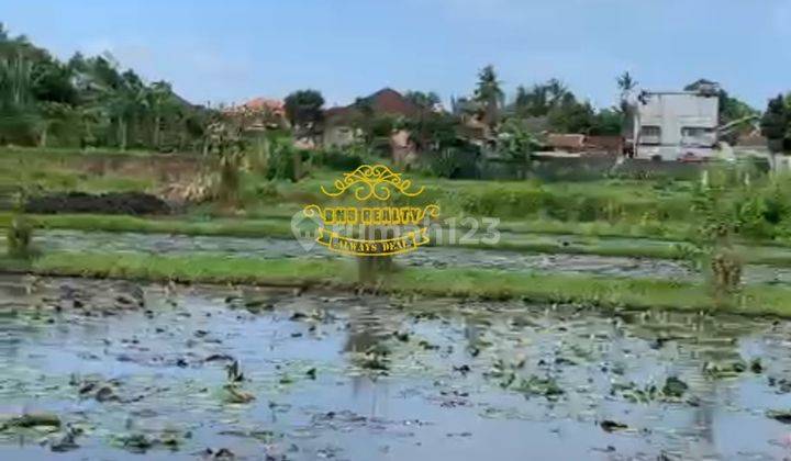 Tanah Jual Lokasi Darmasaba 3