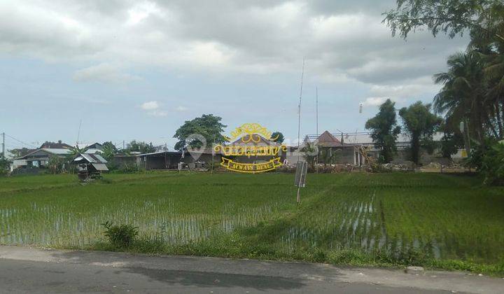 Tanah Sewa Lokasi Kerobokan 2