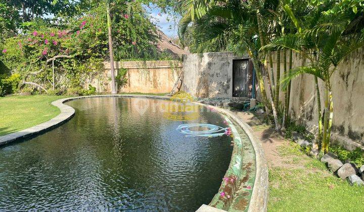 Tanah Sewa Lokasi Seminyak 3