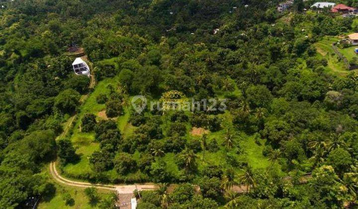 Tanah Jual Lokasi Kayu Putih 3