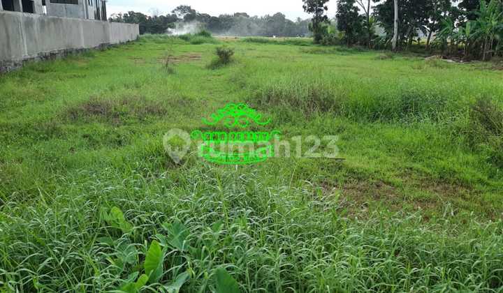 Tanah Sewa Lokasi Kedungu 1
