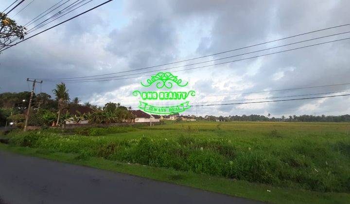 Tanah Sewa Lokasi Kedungu 1